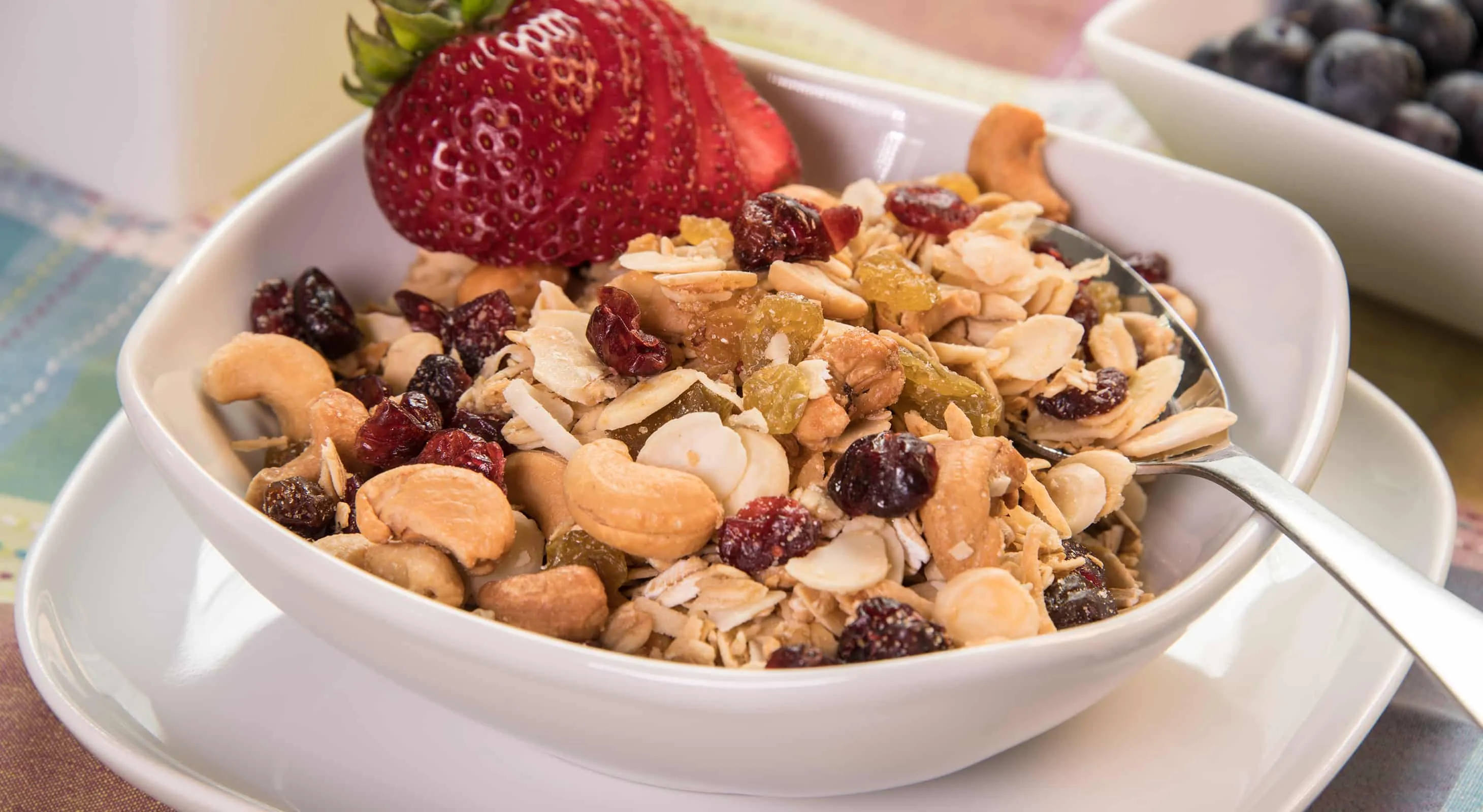 Granola with Yogurt